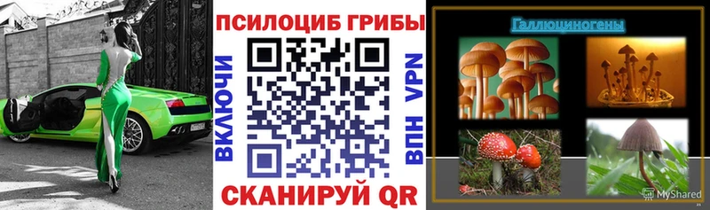 дарк нет телеграм  наркотики  Белокуриха  Галлюциногенные грибы мицелий  мега tor 